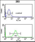 NUP153 Antibody (N-term)